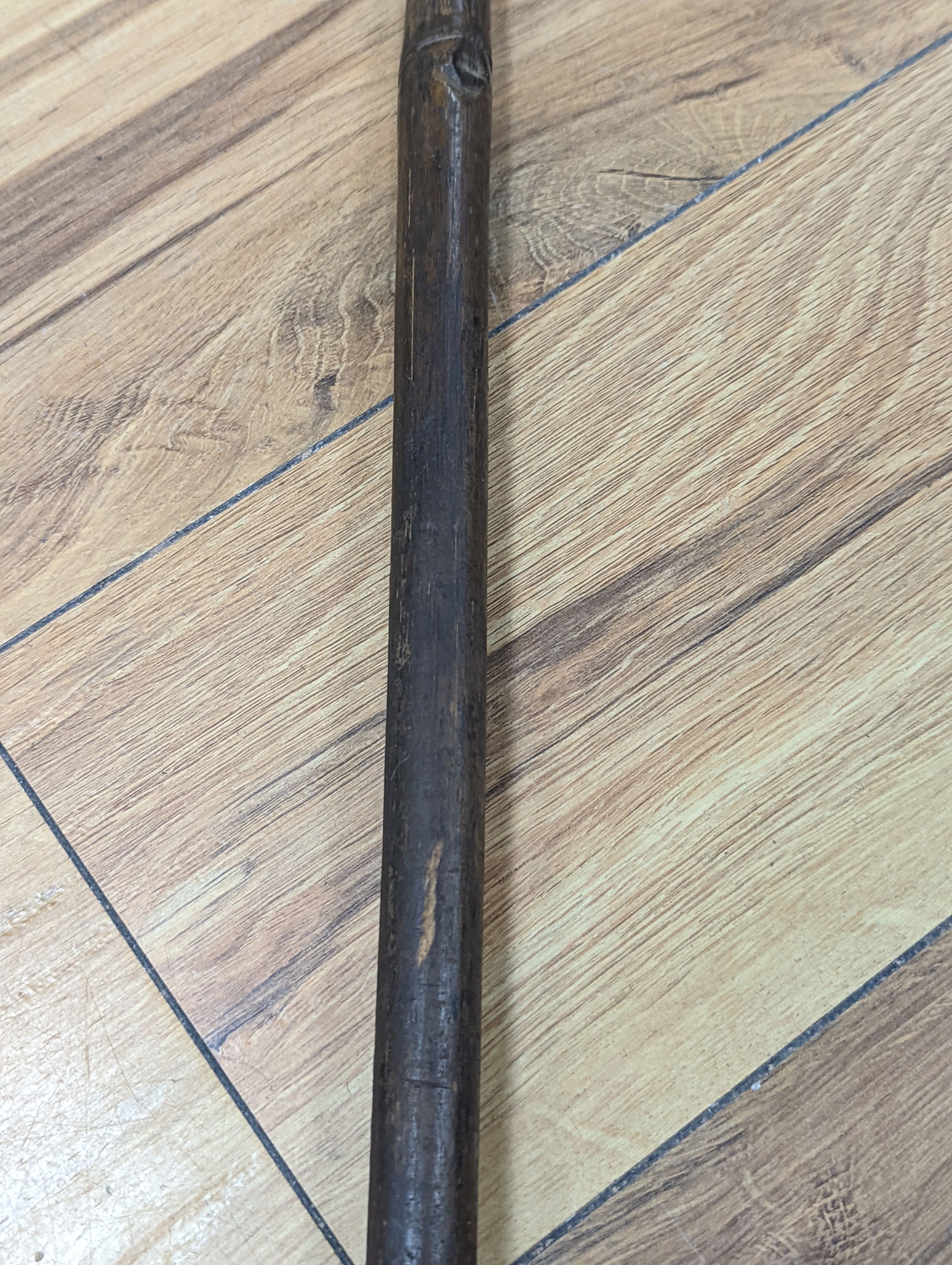 Two East Africa, Transvaal (Zululand) spears, 236cm